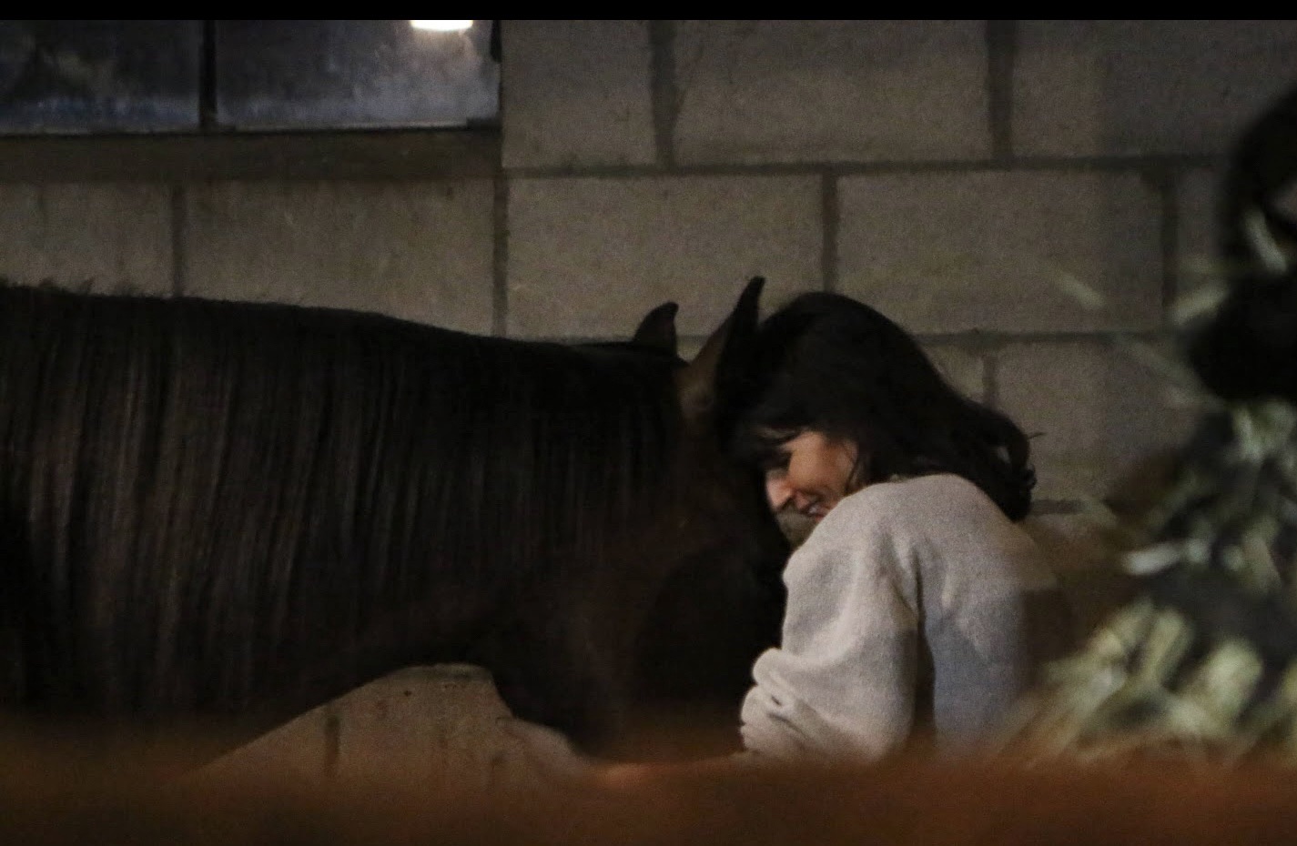 A Perfect Day…without ever leaving the farm.